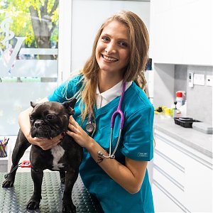 Akú veterinárnu starostlivosť poskytujeme?