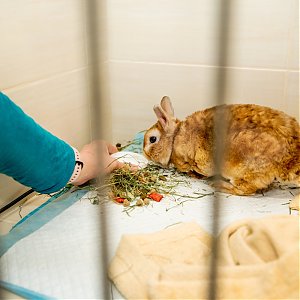 Kompexné vyšetrenie aj pre tých najmenších pacientov