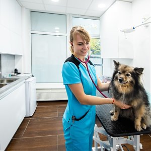 Akým pacientom poskytujeme veterinárnu starostlivosť ?