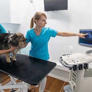 Rozhovor pre Bratislavské noviny: Malý raj pre domácich miláčikov