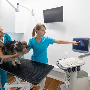 Niečo z našej kliniky: Últrazvuk USG SonoScape S11