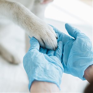 Podľa va&scaron;ich predst&aacute;v