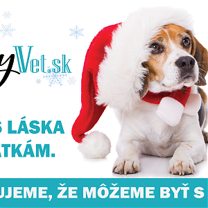 Prajeme krásne prežitie Vianoc